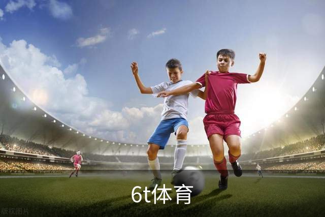 6t体育公司简介